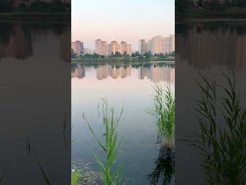 Ducks on the lake #nature #beautiful
