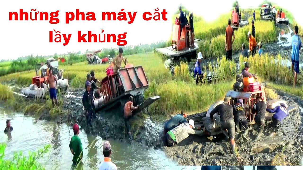 XEM NHỮNG PHA MÁY CẮT LÚA LẦY ĐẤT DẺO KINH KHỦNG