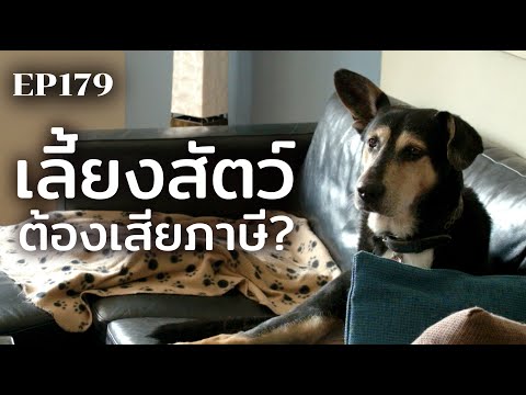 วีดีโอ: ประกันภัยสัตว์เลี้ยงที่ดีที่สุดสำหรับสุนัขคืออะไร?