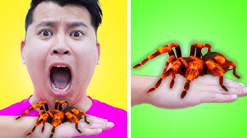 7 EASY EMERGENCY REMEDIES AND LIFE HACKS | SAVE YOUR DAY WITH HOME REMEDIES BY CRAFTY HACKS PLUS