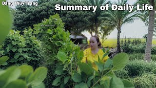 #27| Summary of Daily Life Hunting, Harvesting Cucumbers, Cooking ||Dang Thuy Trang||