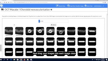Part 4 MedicMind Using the Multiclass Classifier
