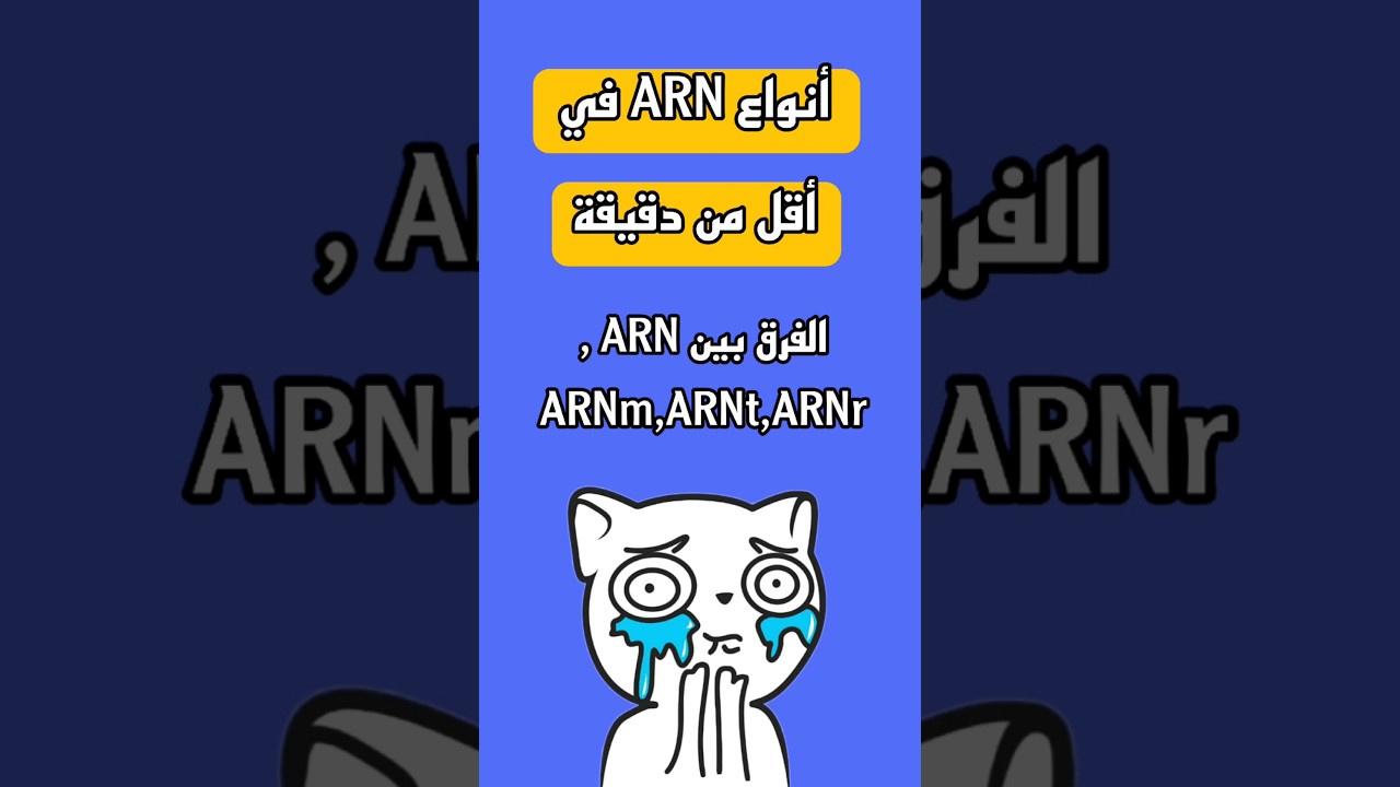 ما الفرق بين Arn و ARNm و ARNt و ARNr ؟