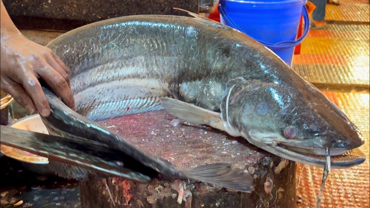 Amazing Big Boal Fish Cutting In Bangladesh Fish Market Catfish
