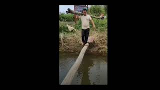 Funny Video