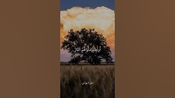 سورة يونس - الشيخ علي جابر رحمة الله .#راحة_نفسية