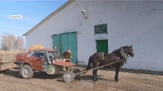 Білорусь: диво техніки - конемобіль...