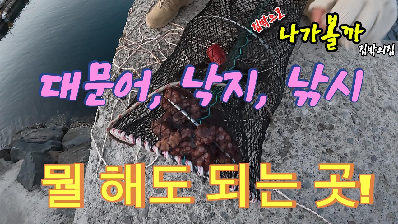 집밖으로 나가볼까 집밖의집 / 한적한 바닷가에서 낚시, 통발, 해루질 다해보기! 그리고 화이트캡사이신 몰래카메라 2편 삽입 영상 편
