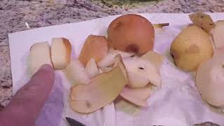Asian pears two varieties taste test #pears #Asianpear