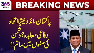 Pakistan–Indonesia Cooperation and Possible Defense Agreement  | 365 Plus