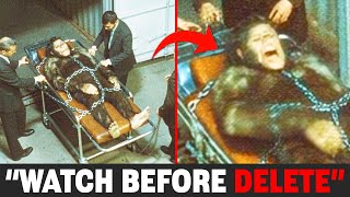 Bigfoot Sightings In Colorado: SHOCKING Footage Claims To Capture ! Caught On Camera