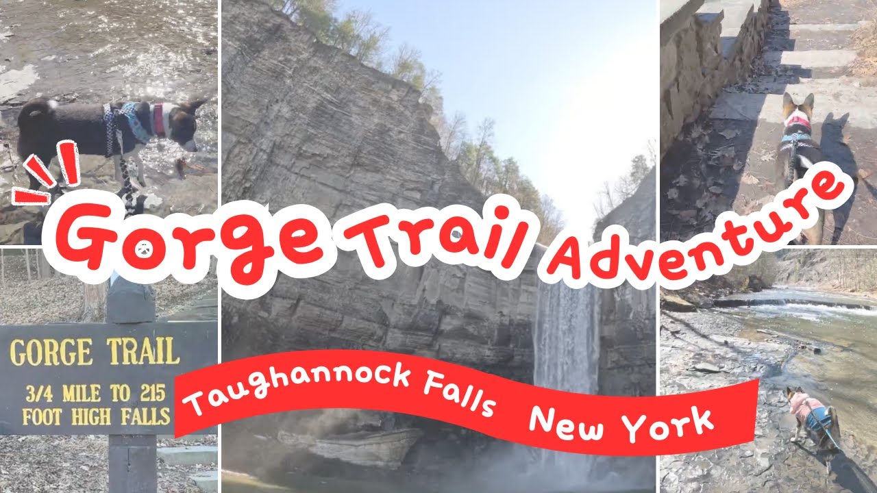 Gorge Trail Adventure | Taughannock Falls State Park NY Hike | Tae’s Travels