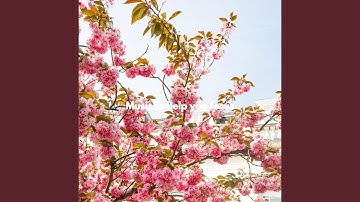 Remarkable Brave Keynotes