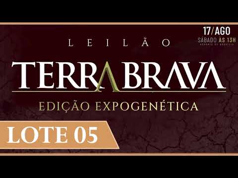 LOTE 05   EPCF 6328