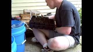 Pittman's Pumpkin Patch 2013 Fall garden part 1