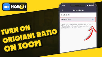 How to turn on original ratio on zoom 2024 | Skill Wave