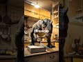 dino vs kucing Oren #kucinglucu #funny #lucu #cat #kucinganggoralucudanimut #kucing