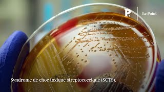Un bactérie létale « mangeuse de chair » inquiète au Japon