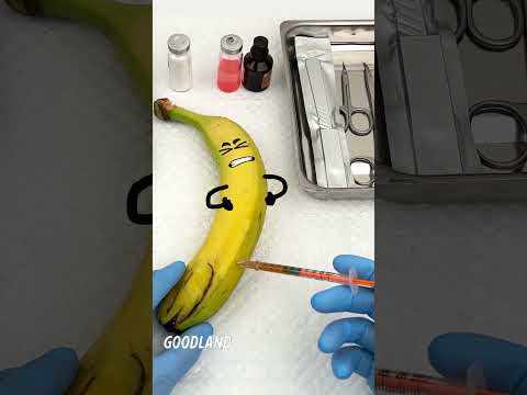 Goodland | Banana operation with a saw ???? #goodland #Fruitsurgery #doodles #doodlesart #goodlandshort