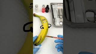 Goodland | Banana operation with a saw 😂 #goodland #Fruitsurgery #doodles #doodlesart #goodlandshor image