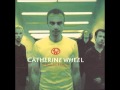 Delicious - Catherine Wheel