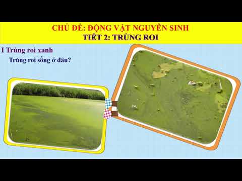 BÀI GIẢNG SINH HỌC 7 TUẦN 2 (Từ ngày 13/9/2021 đến 18/9/2021)