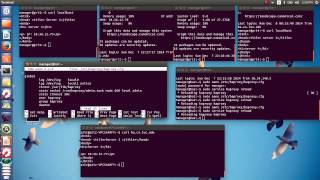 HAproxy configuration and Load balancing 2