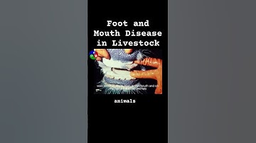 Foot and mouth disease in livestock
