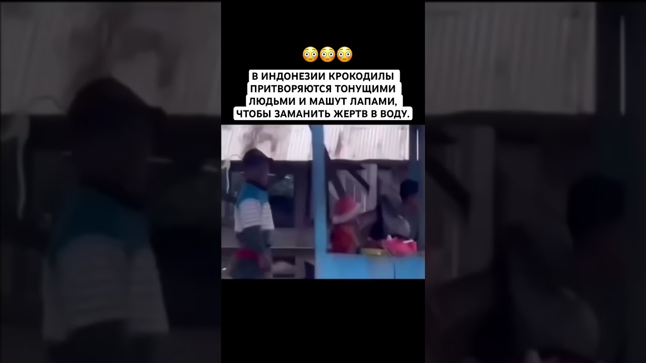 Крокодил-обманщикЛовушка хищника #крокодил#индонезия #мифыоживотных#рек #природа #факты