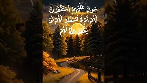 سورة المنافقون ، بصوت الشيخ محمود خليل الحصري رحمه الله 🤍