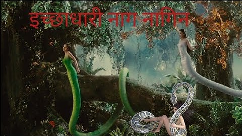 क्या इच्छाधारी नाग नागिन सच में होते हैं इच्छाधारी नाग नागिन का रहस्य mystery of ichchhadhari naags