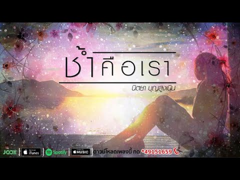 ช้ำคือเรา - นิตยา บุญสูงเนิน [Lyrics Version Official]