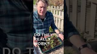 Slug Control - What actually works? #gardening #homegarden #garden