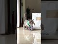 #cat #creative #shorts #funny