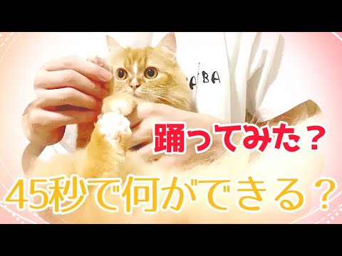 【踊ってみた？】45秒で何ができる？むんさんと踊ってみた