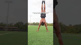 How to Bent-arm Planche in a MONTH