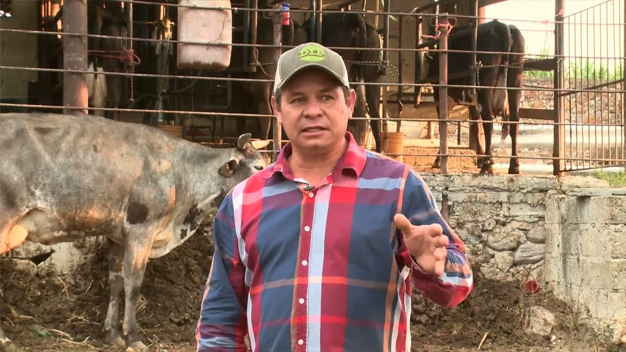 La Fabricación de quesos artesanales | La tierra que nos alimenta | 17/07/25