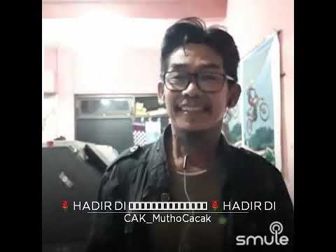 HADIR DIMIMPIKU