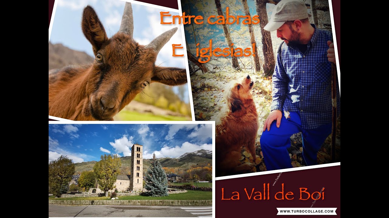 Entre cabras e iglesias, taüll, la vall de boí.