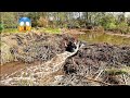 Beaver Dam Removal! || Father Beaver Dam Almost Swallowed Me Up!! Part 3!