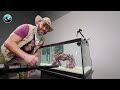 Mantis Shrimp Punch Test!
