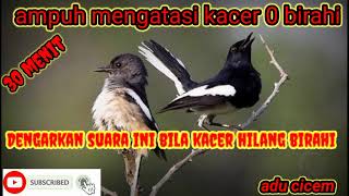 SUARA KACER INI AMPUH MENGATASI KACER NOL BIRAHI !!!  HIDUPKAN 30 MENIT SIANG/MALAM