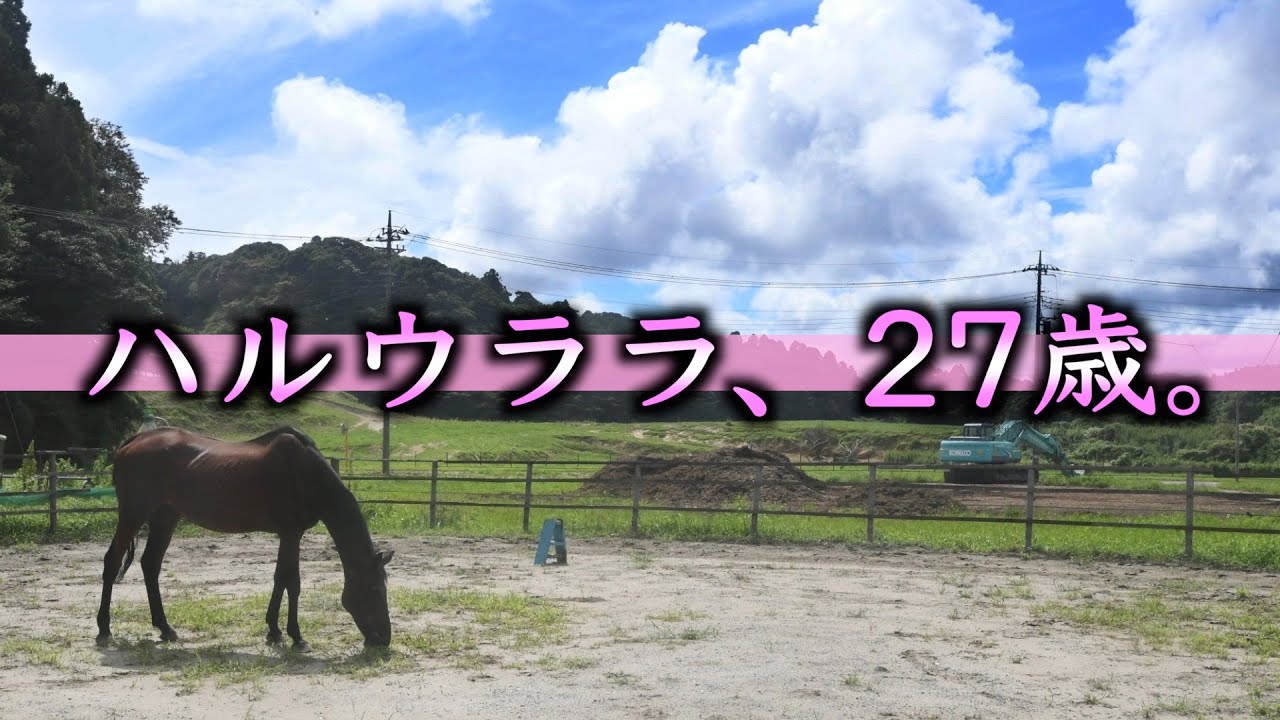 Haru Urara, Now 27, Enjoys Peaceful Days with Her Owner
