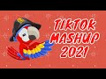 TikTok Mashup 2021 May (not clean)