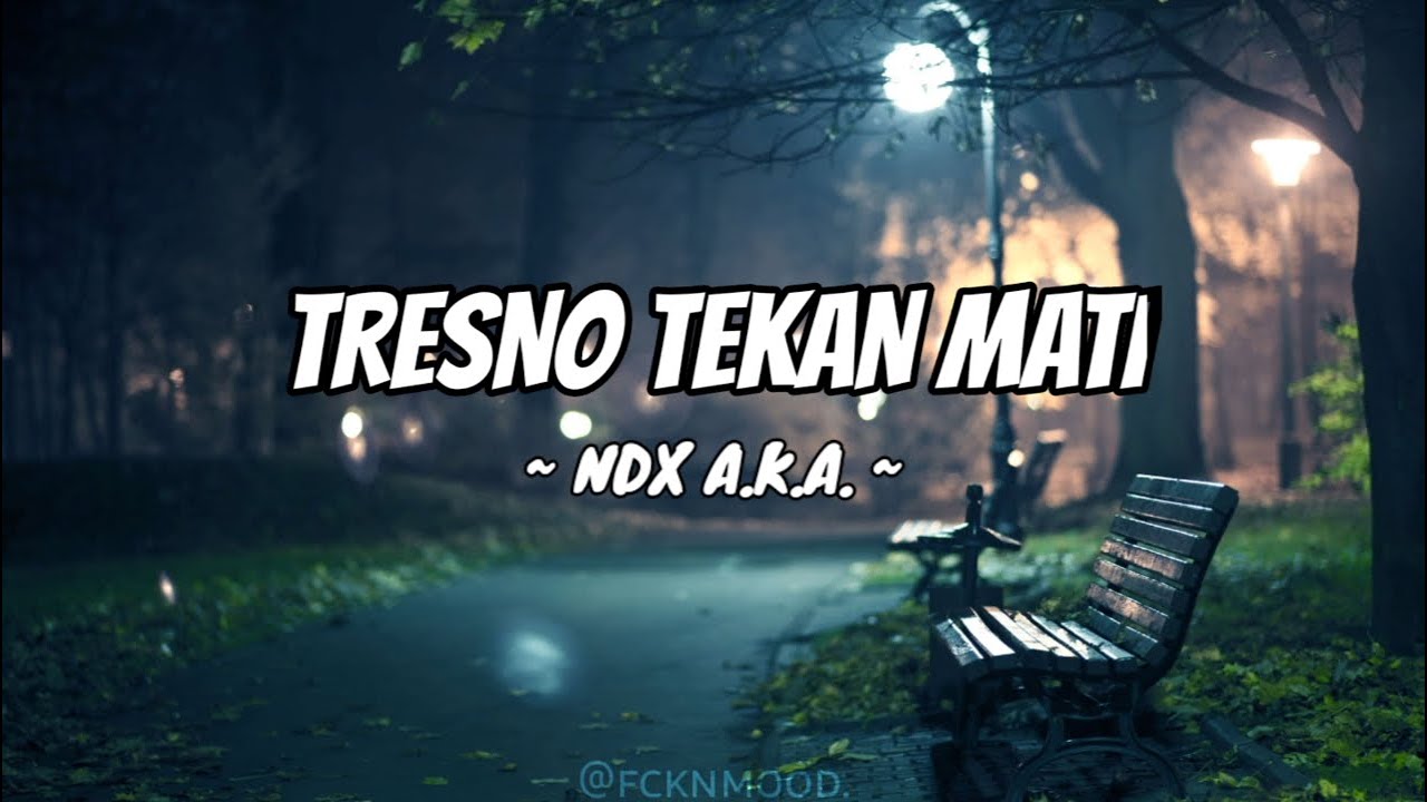 TRESNO TEKAN MATI - NDX A.K.A. LYRICS ( SLOWED & REVERB )