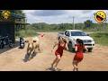Try Not To Laugh Challenge 😂 Funniest Fails & Memes Compilation 2026 #37
