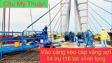 Mỹ thuận 2 tiếp tục căng kéo cáp văng sợi 14 trụ t16 bờ vĩnh long👍