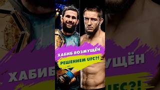 UFC ЗАСТАВИЛ БРАТЬЕВ ДРАТЬСЯ?! Хабиб возмущён решением