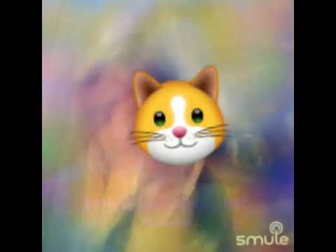 bugis botting tania pojikku