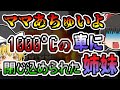 【ゆっくり解説】DQNトラックが起こした最悪の悲劇...法律を変えるきっかけになった【東名高速飲酒運転事故】